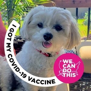 Meet your Posher, Gina